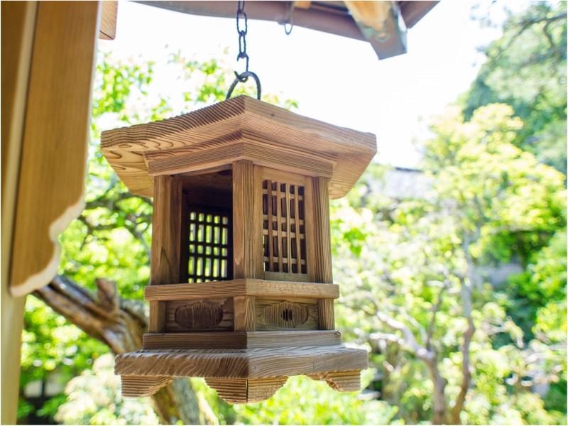 Yutouya Ryokan Toyooka  Exteriér fotografie