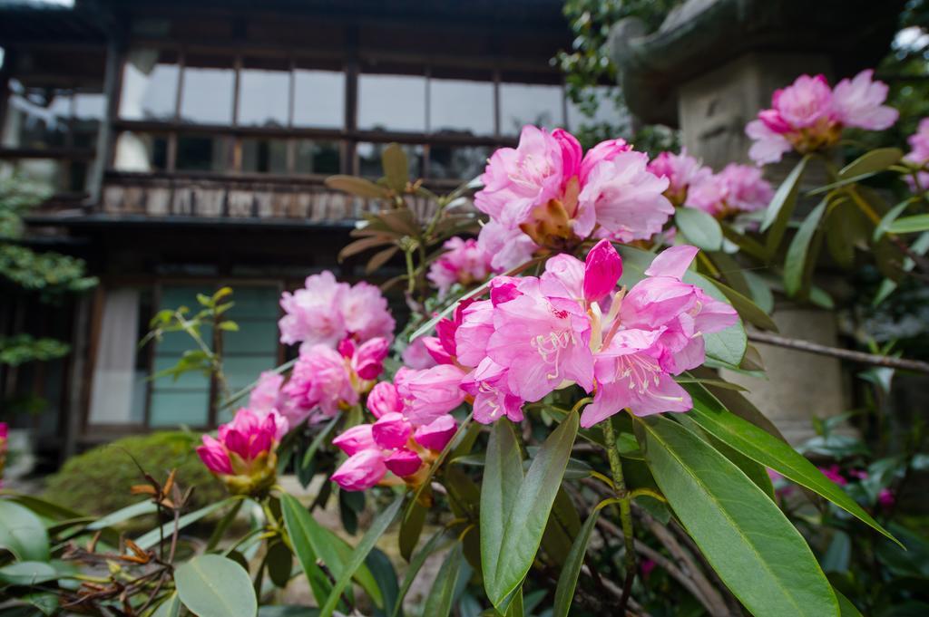 Yutouya Ryokan Toyooka  Exteriér fotografie
